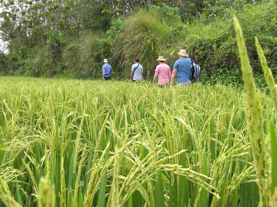 Bali Agritours-阿比安塞马尔必去景点