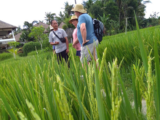 Bali Agritours-阿比安塞马尔必去景点
