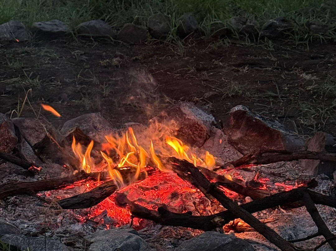 Mbuni Tented Camps-Seronera必去景点