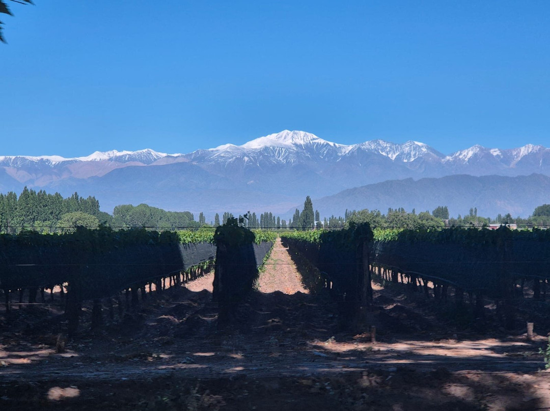 Bodega Norton-路冉得库约必去景点