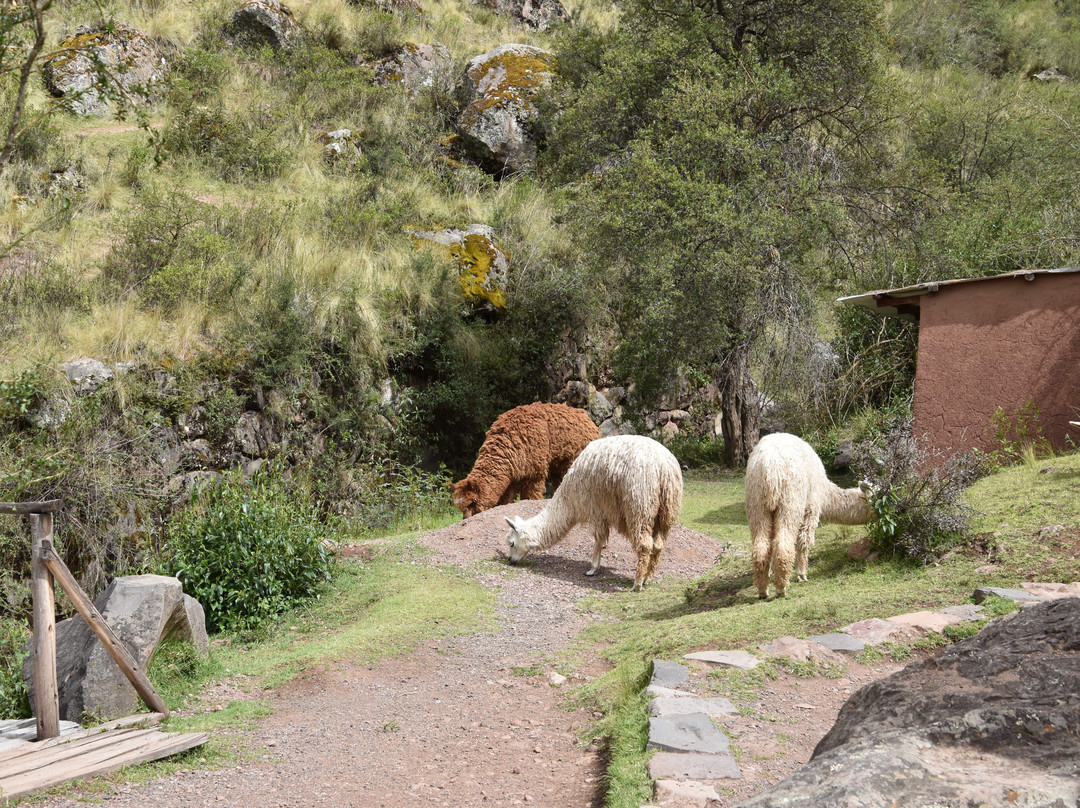AB Expeditions-库斯科必去景点