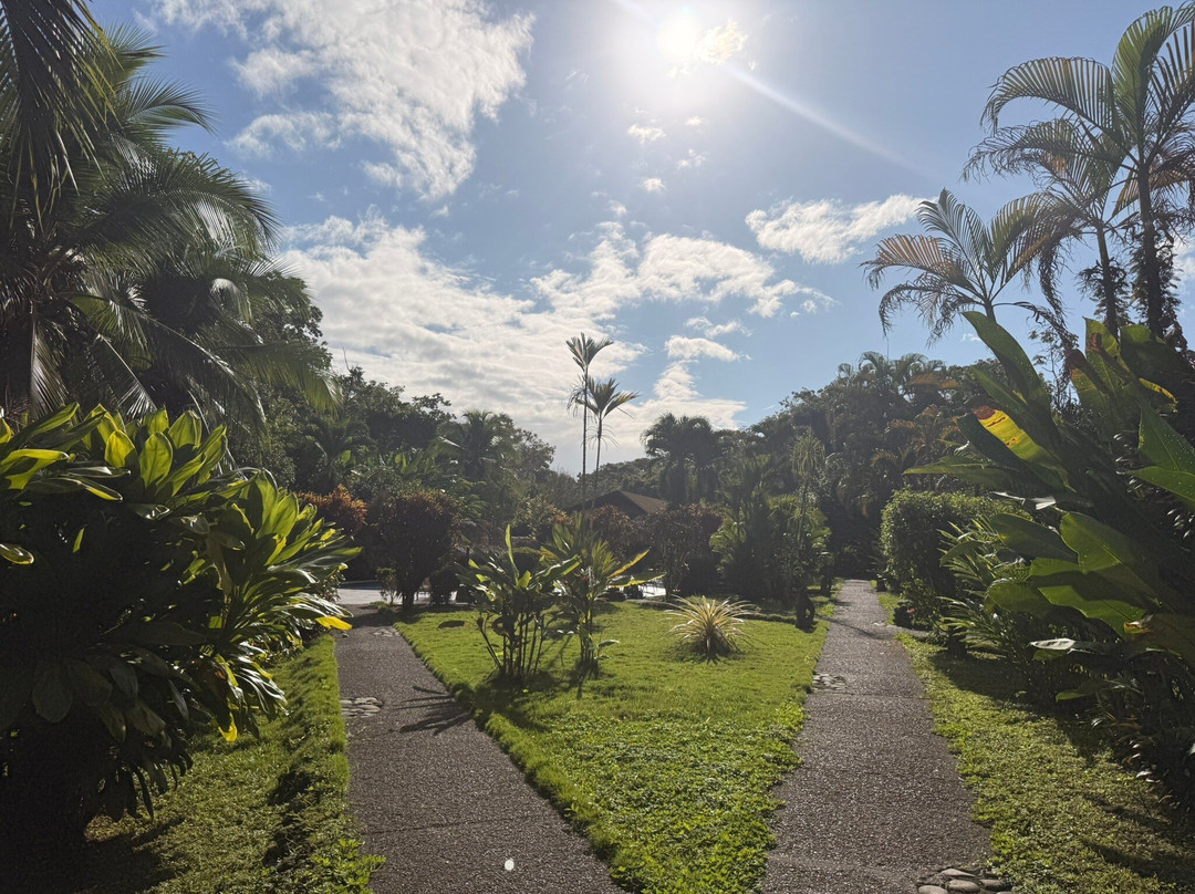 Province of Limon酒店住宿-Suizo Loco Lodge Hotel & Resort