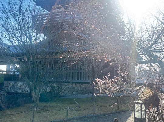 Ikeda Castle Site Park-池田市必去景点