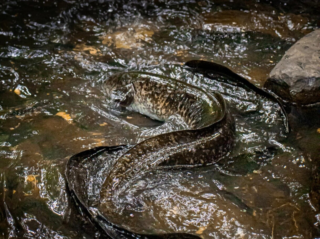 Mate Excursions-Taiohae必去景点