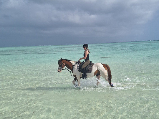 Zanzibar Horse Club-孥归必去景点