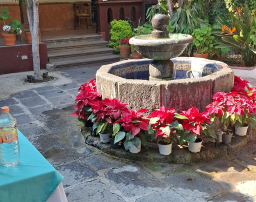 Casa Eva Hotel Boutique主图