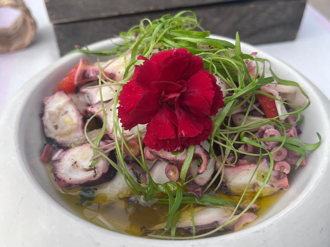 Maktub Pub-Paul do Mar必去景点