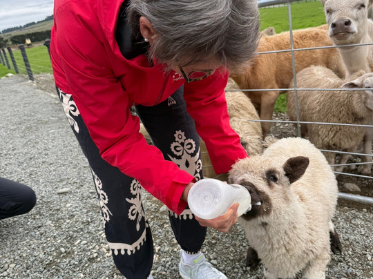 Woodstone Farm, Te Anau, New Zealand-蒂阿瑙必去景点