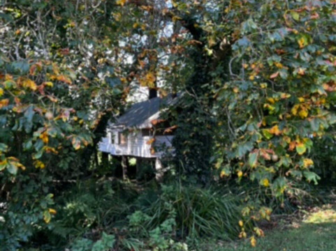 Cottages for Couples主图