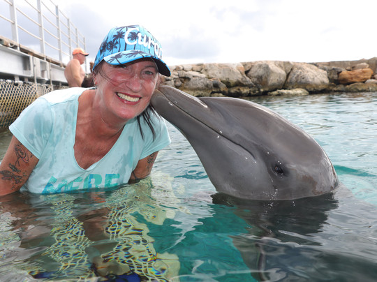 Dolphin Academy Curacao-威廉斯塔德必去景点