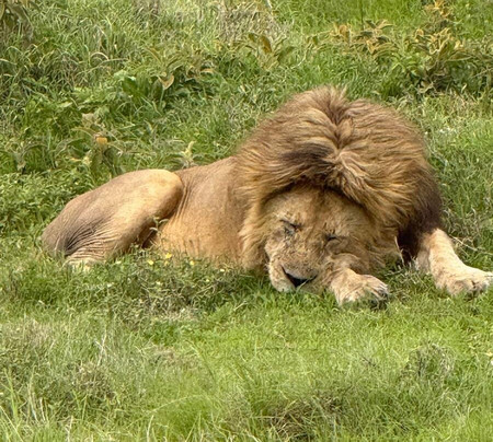 Unlimited Expeditions - The Soul Of Tanzania-阿鲁沙必去景点