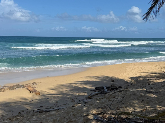 Survival Beach-Aguadilla必去景点