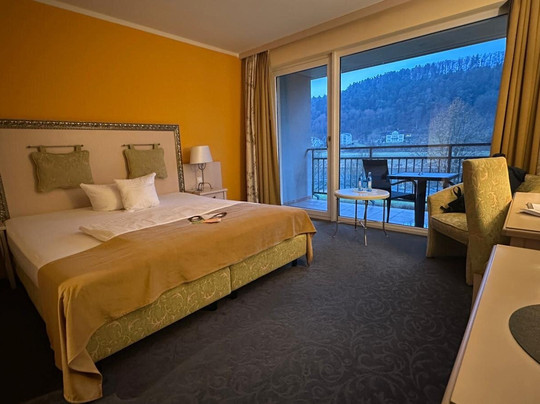 Parkhotel Bad Schandau主图