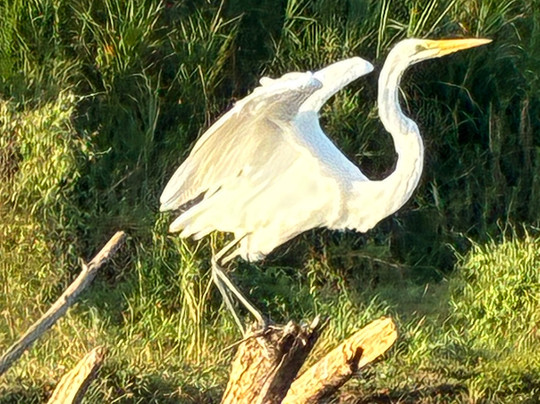 Vic-Tours-卡拉拉必去景点
