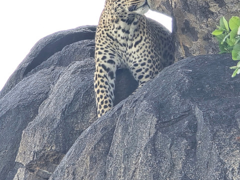 Key2Africa Safaris-阿鲁沙必去景点