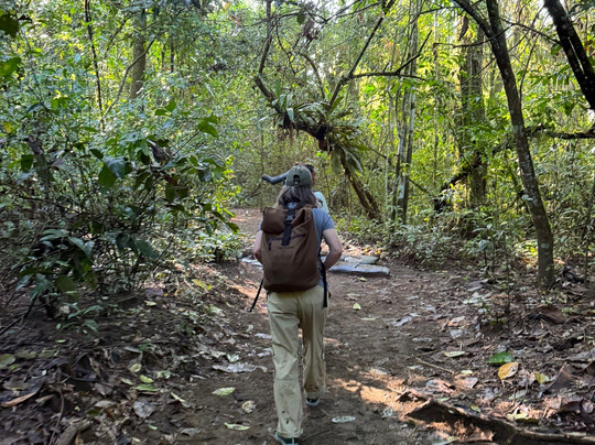 Corcovado National Park-Carate必去景点
