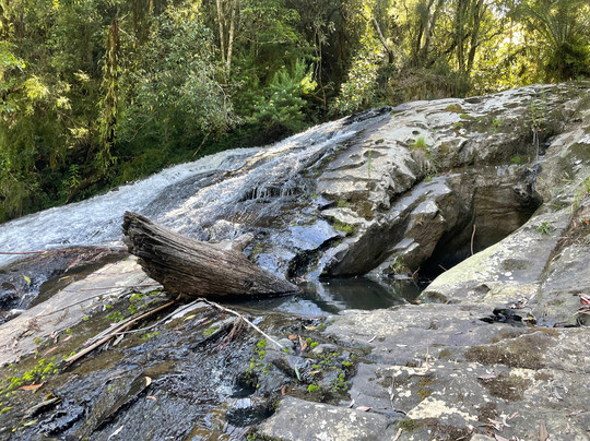 Tarra Falls-Tarra Valley必去景点