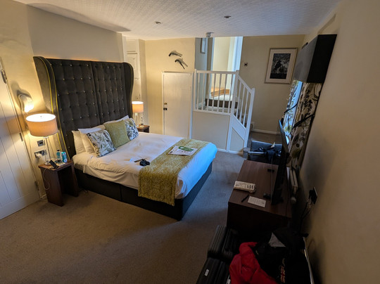 金羊毛酒店主图