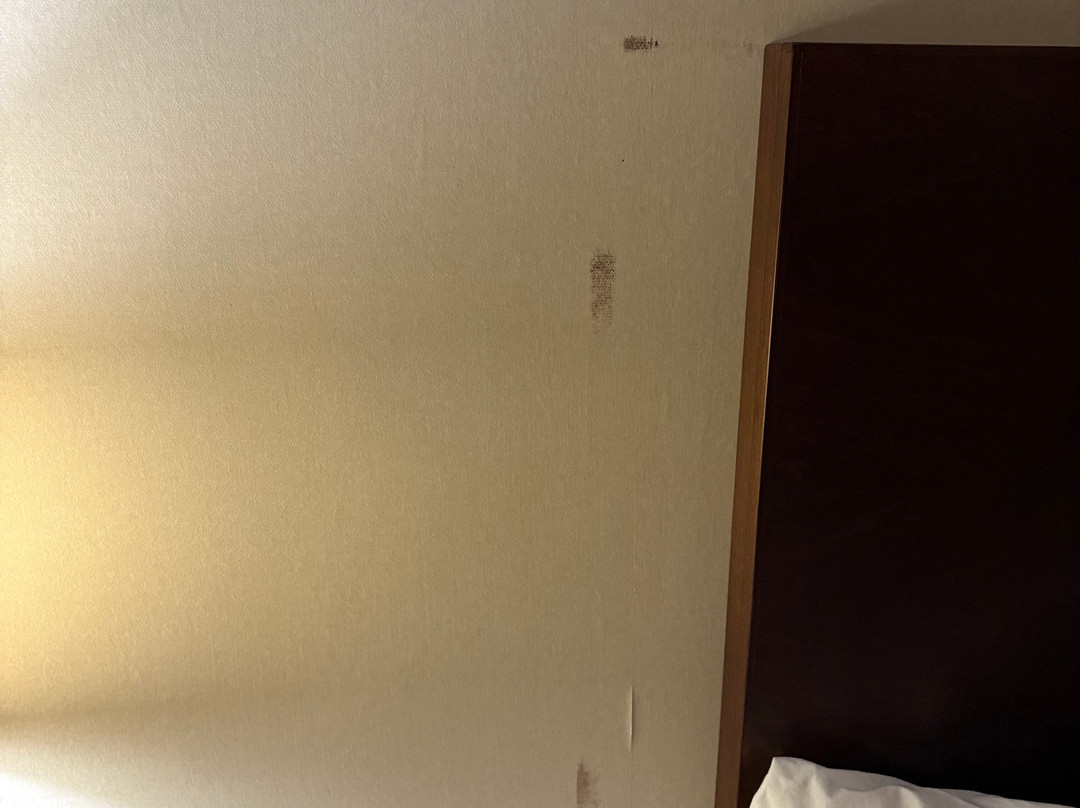 蒂明斯参议员酒店及会议中心主图