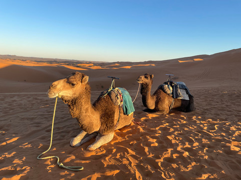 Spirit of Morocco-阿伊特·本·哈杜筑垒村必去景点