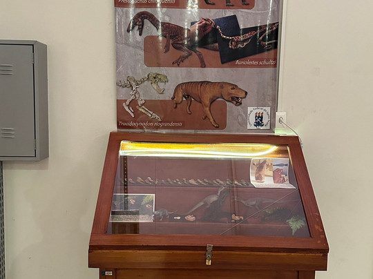 CAPPA-Centro de Apoio à Pesquisa Paleontológica da Quarta Colônia-Sao Joao do Polesine必去景点