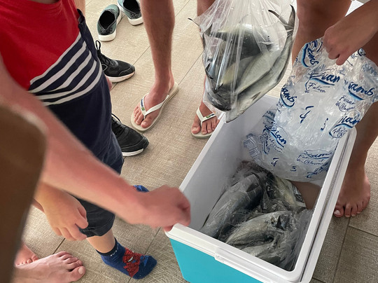 Carib Evasion-Case-Pilote必去景点