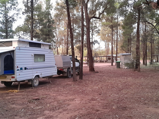 Narrabri Fish Farm-纳拉布莱必去景点