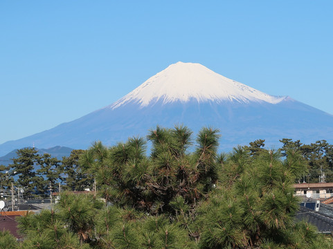 Shizuoka City Miho no Matsubara Culture & Creativity Center Mihoshirube-静冈市必去景点