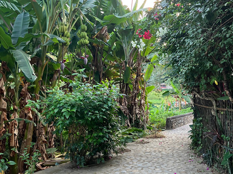 Casa de los Artistas主图