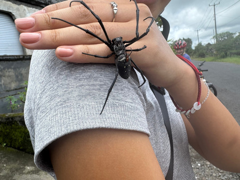 Bali Fun Bike Adventure-Pejeng Kaja必去景点