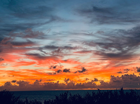 Salt Cay Divers-Salt Cay必去景点
