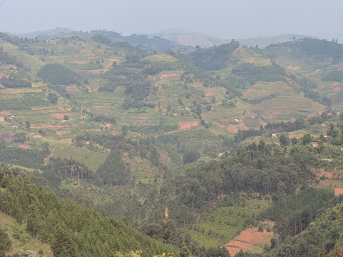 Kigezi Vima Safaris-Kibale National Park必去景点