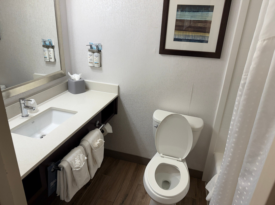 奥弗兰德公园西假日套房酒店主图