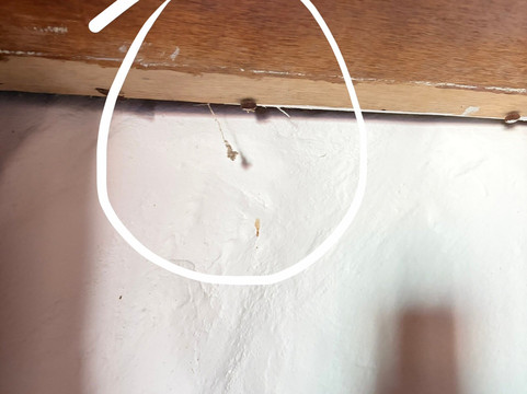 Chauve Souris Relais主图