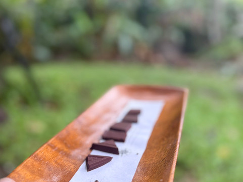 21 Degrees Estate Cacao Farm-卡内奥赫必去景点