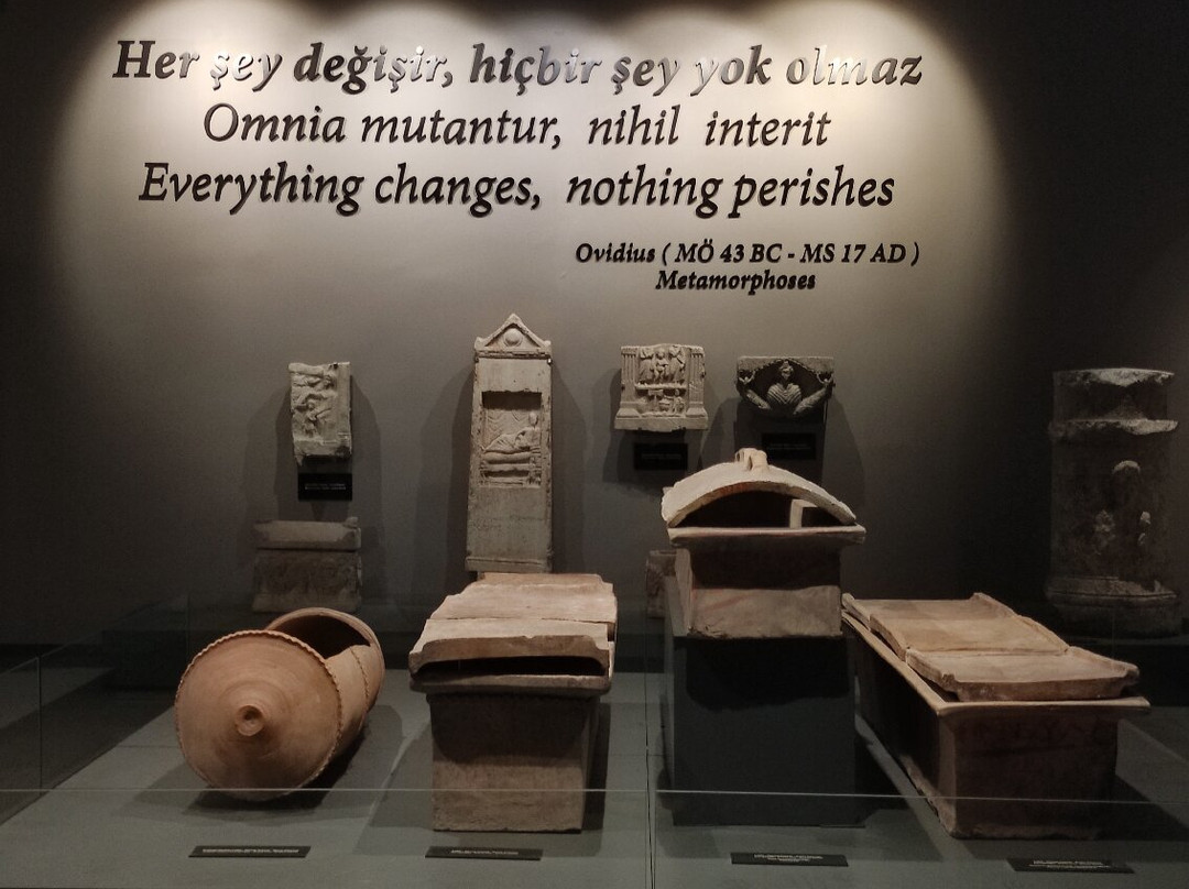 Mersin Arkeoloji Muzesi-梅尔辛必去景点