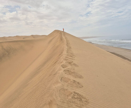 Desert Dunes & Dust Tours-斯瓦科普蒙德必去景点