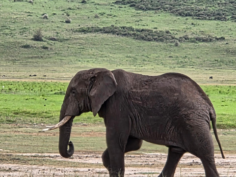 Ngurdoto Crater-阿鲁沙必去景点