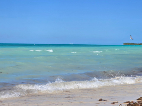 Hotel Playa Coco主图