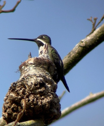 Jason Lara Tours-波魁特必去景点