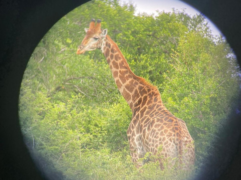 Legend Safaris-雾观必去景点
