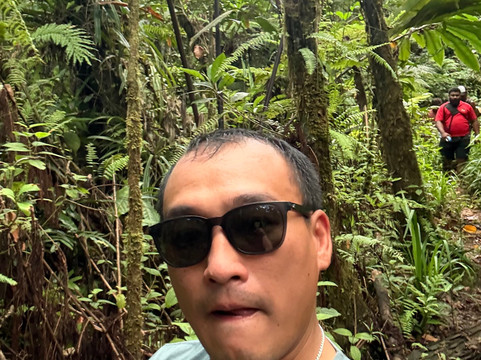 Terra Trek Tours-太平洋港必去景点