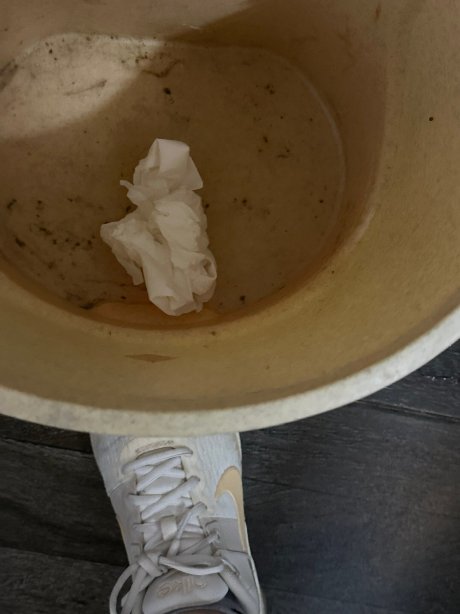 巨人的森林-官方