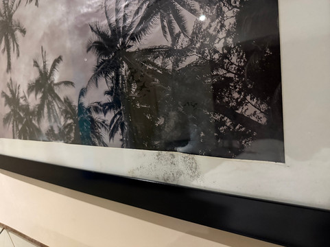 La Coralina岛屋主图