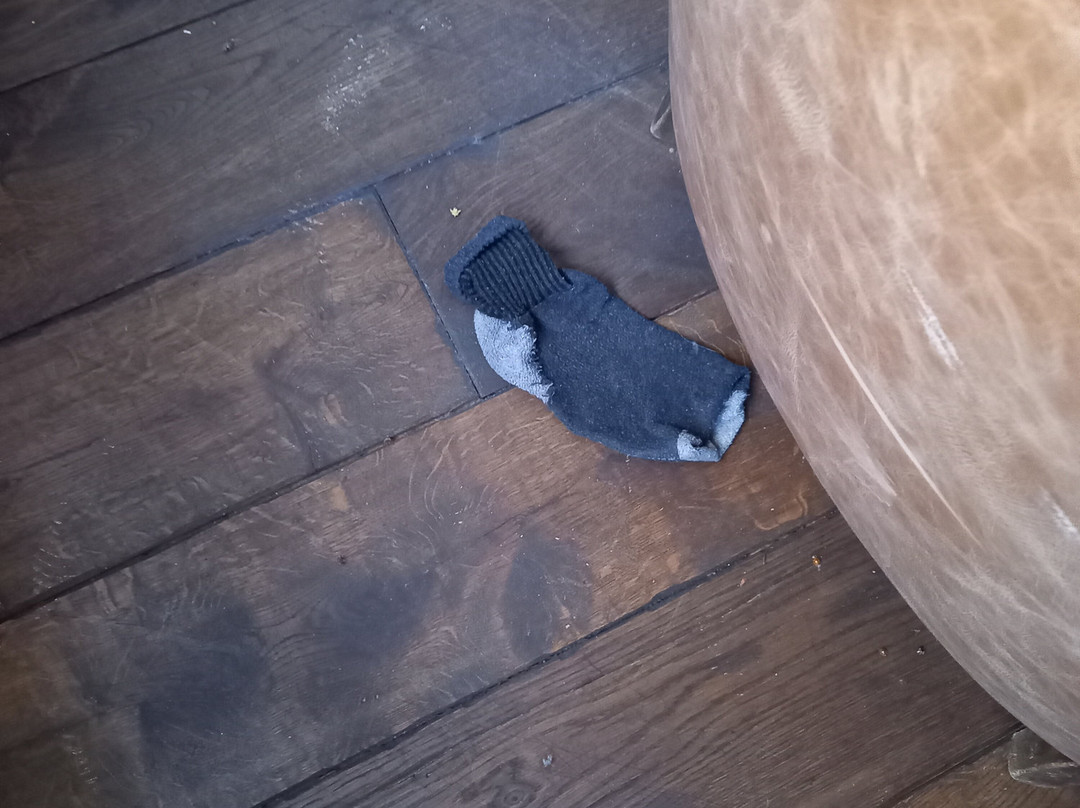 阿尔滕布鲁克庄园主图