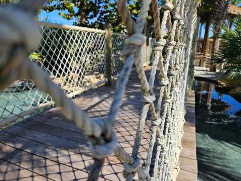 Marco Island Historical Museum-马可岛必去景点