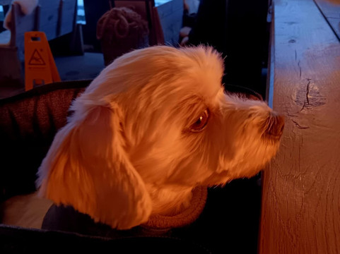 Lighthouse Büsum-比苏姆必去景点