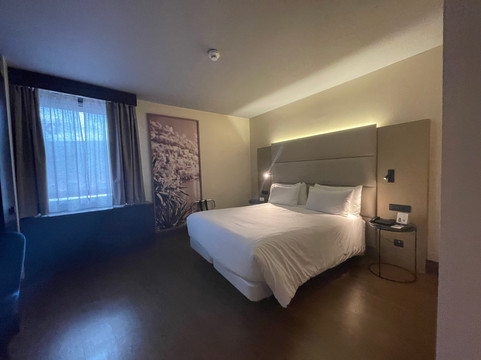 日内瓦机场诺瀚酒店主图