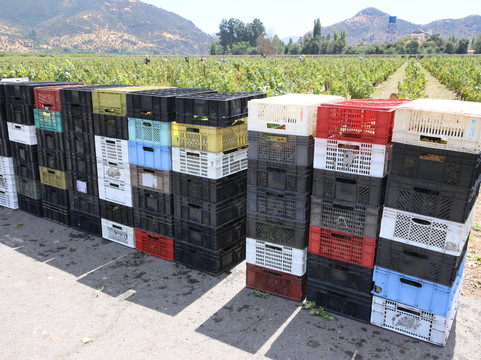 卡萨席尔瓦酒店主图