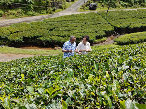 Vagamon-Idukki District必去景点